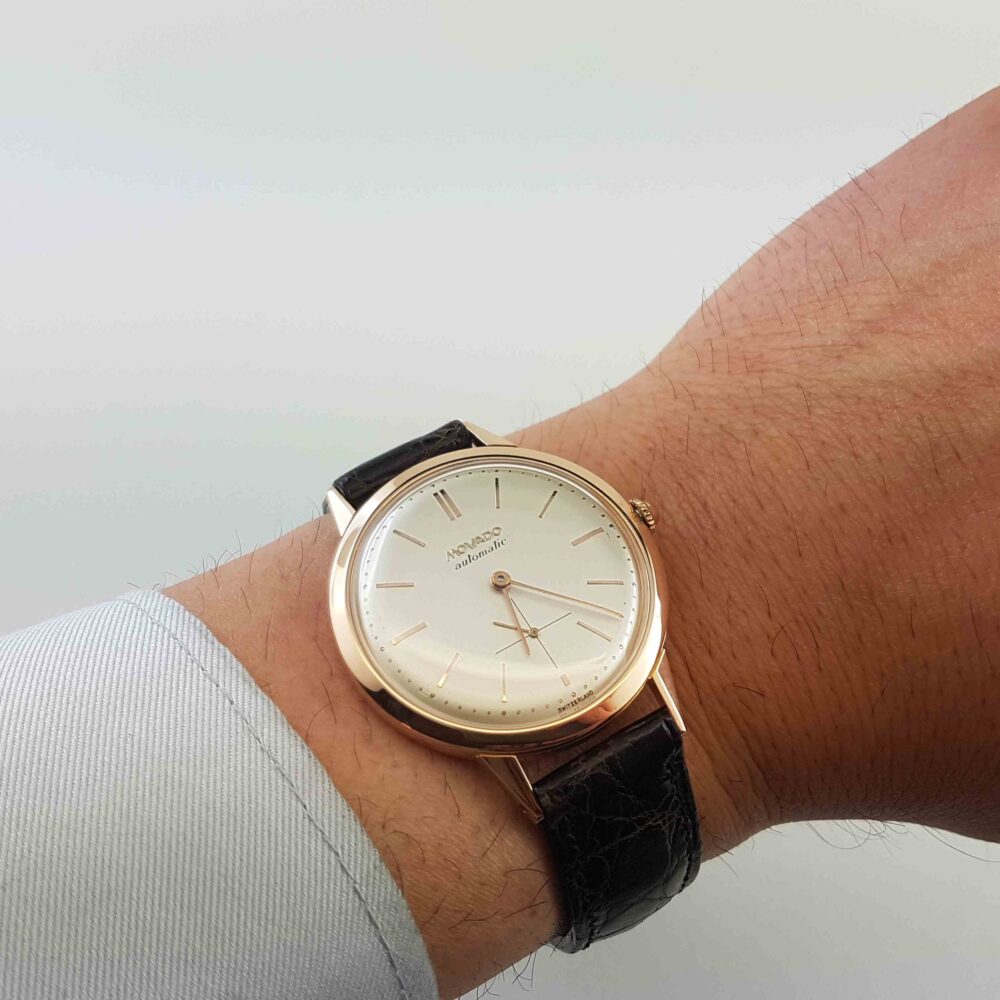 movado-bumper